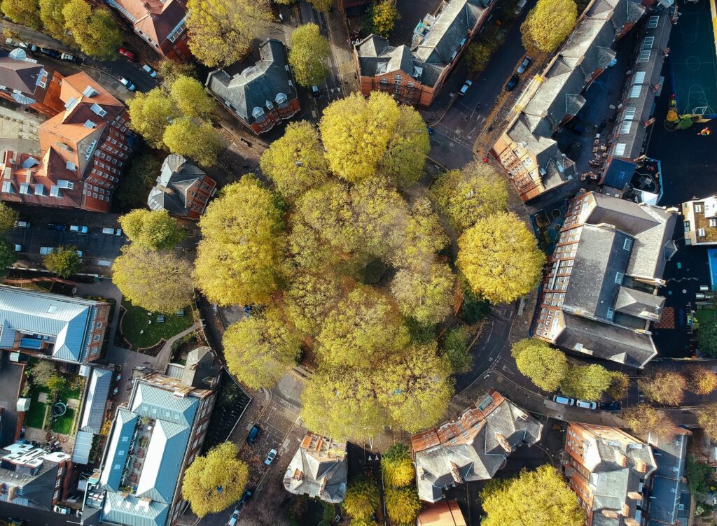 ciudad limpia ecologia electromovilidad cero emisiones